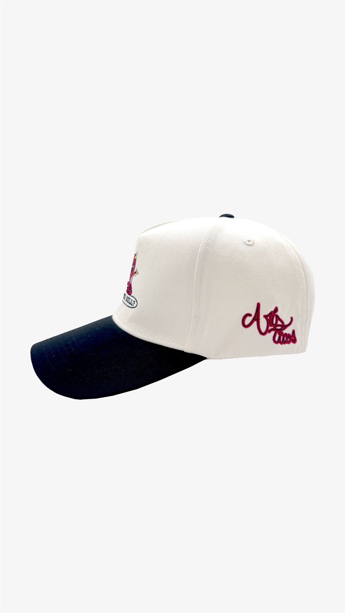 Gorra WHAT THE HELL